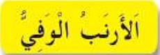 الأرنب الوفي